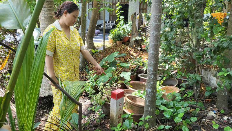  Khu đất diện giải tỏa đền bù của người dân trong dự án đường Vành đai 3 được cắm mốc